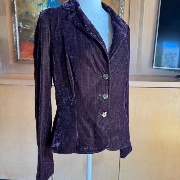 Teri Jon Jackets & Blazers - Jon Crush Textured Velvet and Silk Purple Iridescent Blazer